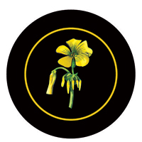 Sour Sob Battle of Bosworth Logo